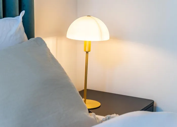 Junior - L'ecrin Des Vignes - Centre Historique * Dijon