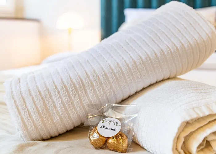 Appartement L'écrin Des Vignes - De Charme En Hyper-centre