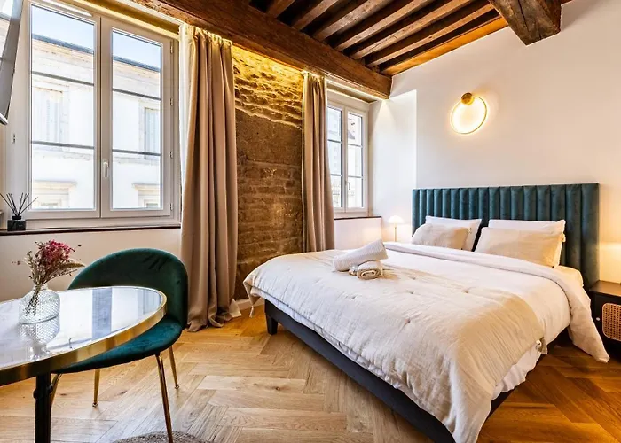 Junior - L'ecrin Des Vignes - Centre Historique * Dijon