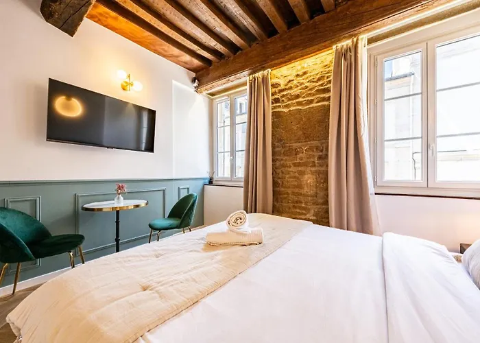 Junior - L'ecrin Des Vignes - Centre Historique Dijon